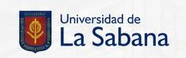 Cliente 16